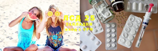 PSILOCYBIN Арсеньев