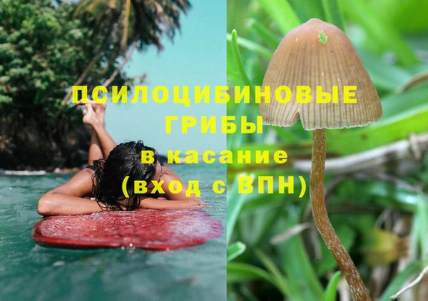 MESCALINE Аркадак