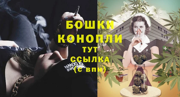 PSILOCYBIN Арсеньев